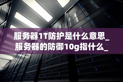服务器1T防护是什么意思_服务器的防御10g指什么_服务器1T防护的全面解析