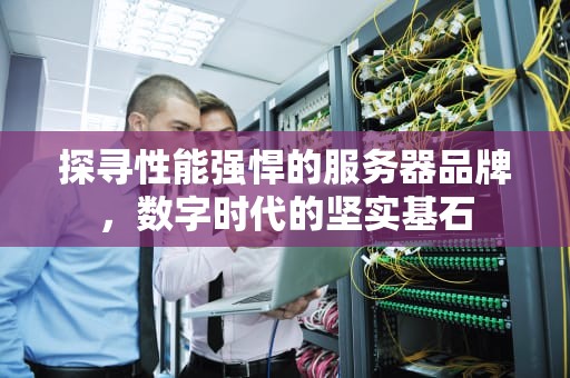 探寻性能强悍的服务器品牌，数字时代的坚实基石