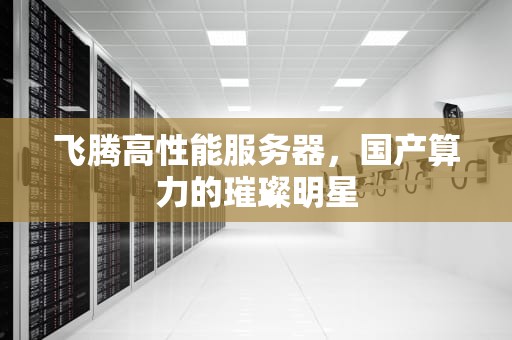 飞腾高性能服务器，国产算力的璀璨明星