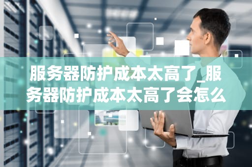 服务器防护成本太高了_服务器防护成本太高了会怎么样_服务器防护成本的优化策略