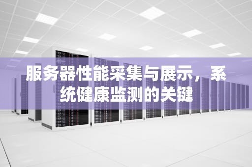 服务器性能采集与展示，系统健康监测的关键