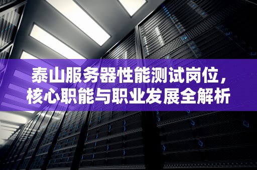 泰山服务器性能测试岗位，核心职能与职业发展全解析