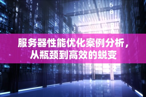 服务器性能优化案例分析，从瓶颈到高效的蜕变