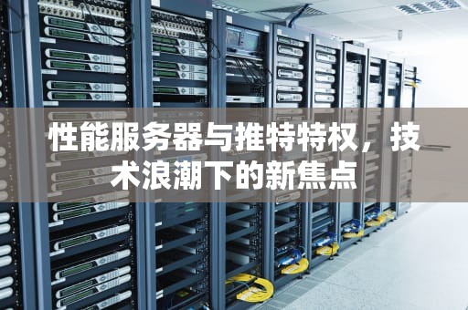 性能服务器与推特特权，技术浪潮下的新焦点