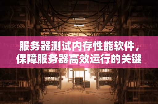 服务器测试内存性能软件，保障服务器高效运行的关键工具