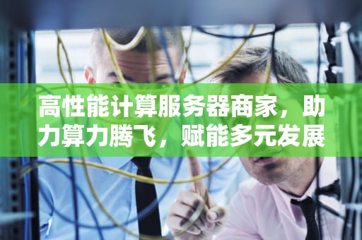 高性能计算服务器商家，助力算力腾飞，赋能多元发展