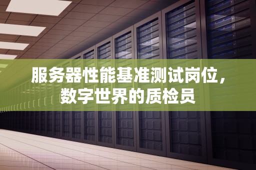 服务器性能基准测试岗位，数字世界的质检员