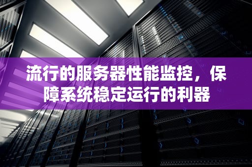 流行的服务器性能监控，保障系统稳定运行的利器