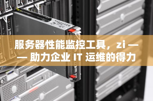 服务器性能监控工具，zi —— 助力企业 IT 运维的得力助手