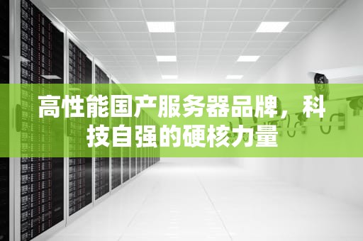 高性能国产服务器品牌，科技自强的硬核力量