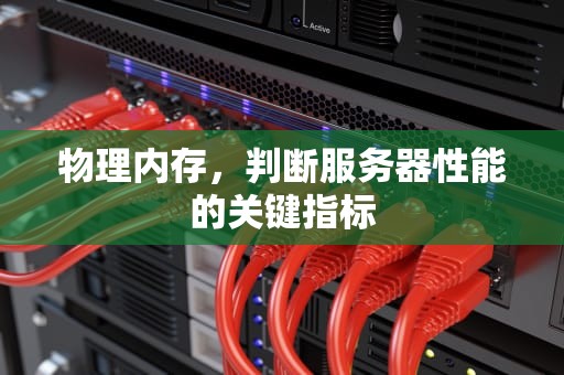 物理内存，判断服务器性能的关键指标