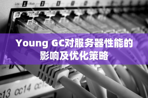 Young GC对服务器性能的影响及优化策略