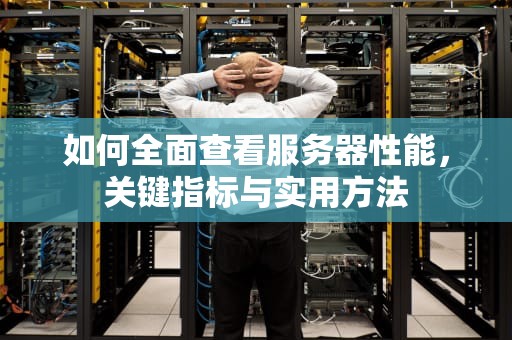如何全面查看服务器性能，关键指标与实用方法