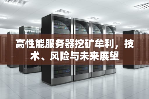 高性能服务器挖矿牟利，技术、风险与未来展望