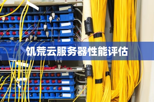 饥荒云服务器性能评估