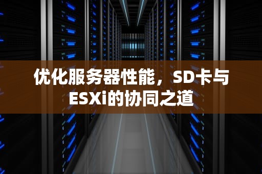 优化服务器性能，SD卡与ESXi的协同之道