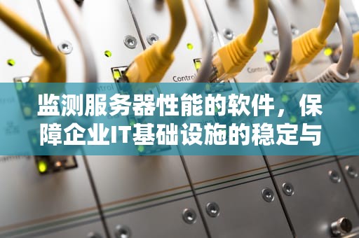 监测服务器性能的软件，保障企业IT基础设施的稳定与高效