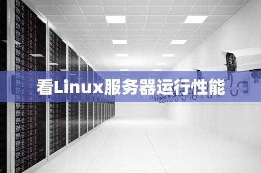 看Linux服务器运行性能