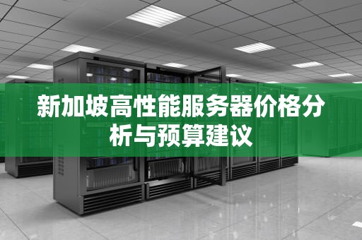 新加坡高性能服务器价格分析与预算建议