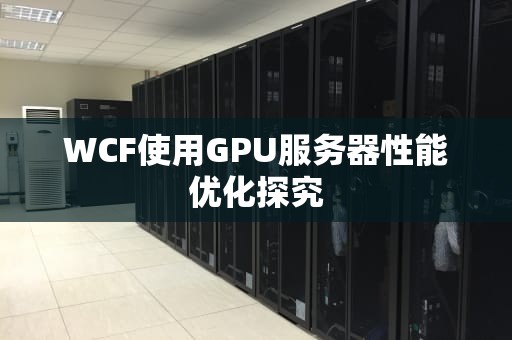 WCF使用GPU服务器性能优化探究