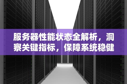 服务器性能状态全解析，洞察关键指标，保障系统稳健运行