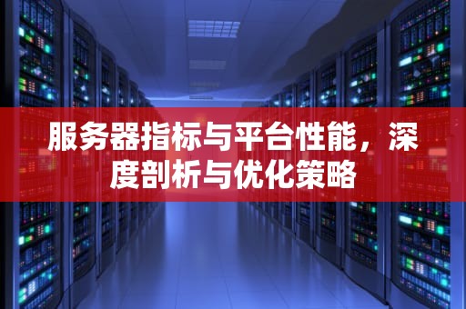 服务器指标与平台性能，深度剖析与优化策略