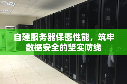 自建服务器保密性能，筑牢数据安全的坚实防线