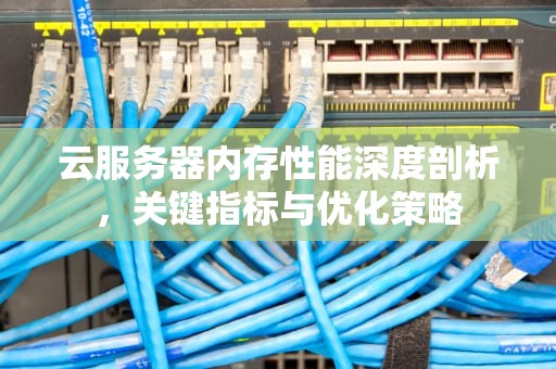 云服务器内存性能深度剖析，关键指标与优化策略