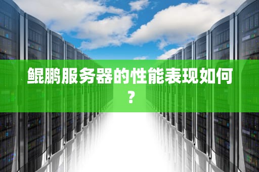 鲲鹏服务器的性能表现如何？