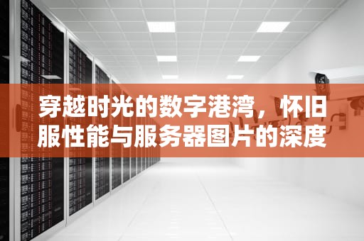 穿越时光的数字港湾，怀旧服性能与服务器图片的深度探寻