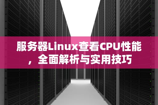 服务器Linux查看CPU性能，全面解析与实用技巧