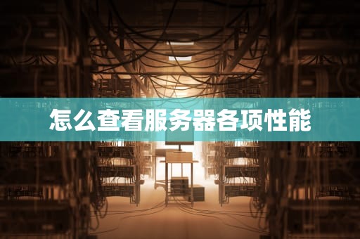 怎么查看服务器各项性能