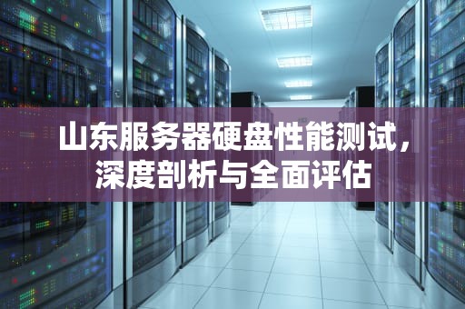 山东服务器硬盘性能测试，深度剖析与全面评估