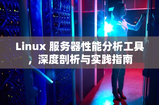 Linux 服务器性能分析工具，深度剖析与实践指南