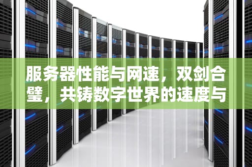 服务器性能与网速，双剑合璧，共铸数字世界的速度与激情
