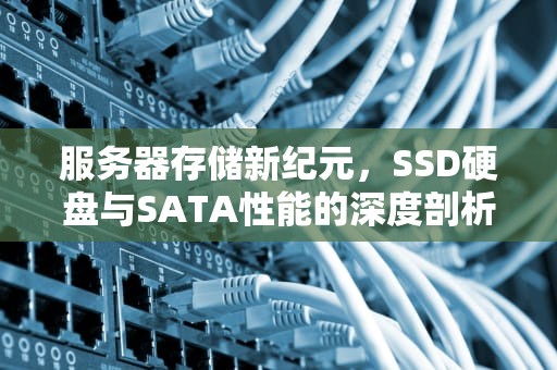 服务器存储新纪元，SSD硬盘与SATA性能的深度剖析
