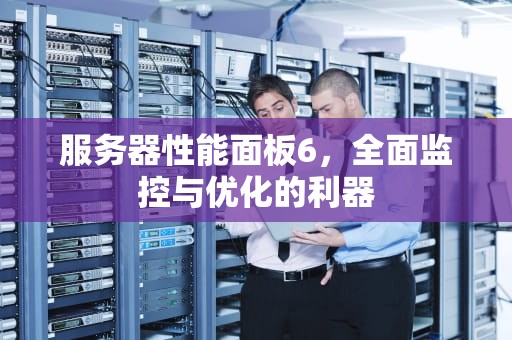 服务器性能面板6，全面监控与优化的利器