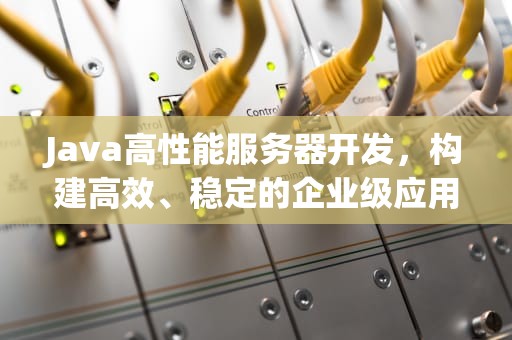 Java高性能服务器开发，构建高效、稳定的企业级应用