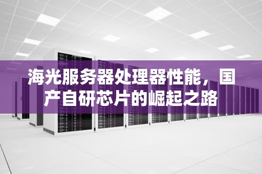 海光服务器处理器性能，国产自研芯片的崛起之路