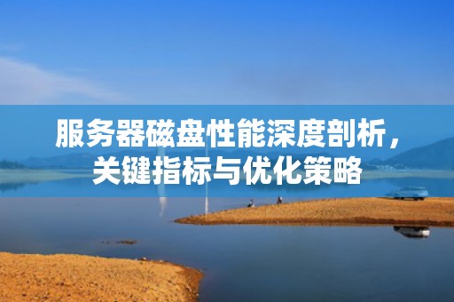 服务器磁盘性能深度剖析，关键指标与优化策略