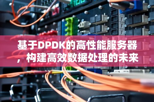 基于DPDK的高性能服务器，构建高效数据处理的未来