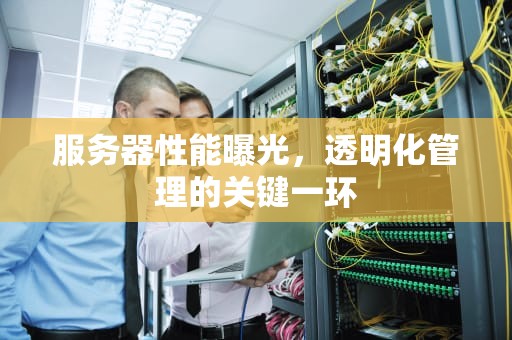 服务器性能曝光，透明化管理的关键一环