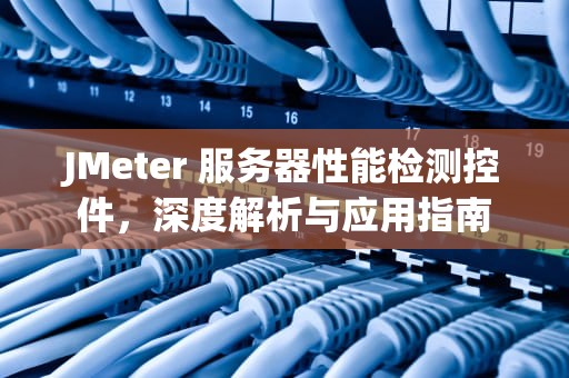 JMeter 服务器性能检测控件，深度解析与应用指南