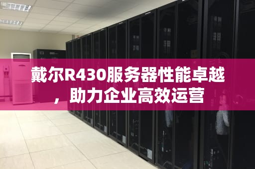 戴尔R430服务器性能卓越，助力企业高效运营