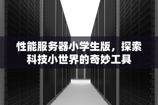 性能服务器小学生版，探索科技小世界的奇妙工具