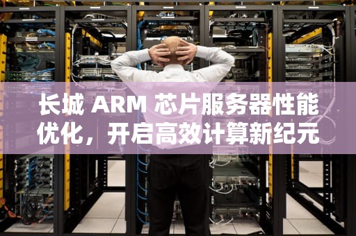 长城 ARM 芯片服务器性能优化，开启高效计算新纪元