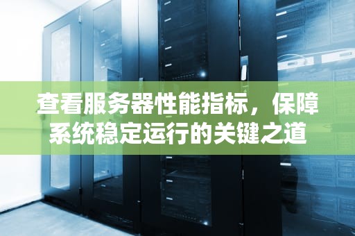 查看服务器性能指标，保障系统稳定运行的关键之道
