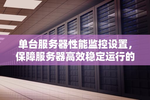 单台服务器性能监控设置，保障服务器高效稳定运行的关键