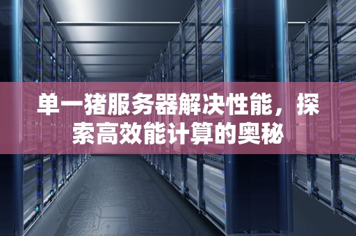 单一猪服务器解决性能，探索高效能计算的奥秘