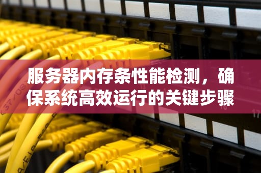 服务器内存条性能检测，确保系统高效运行的关键步骤